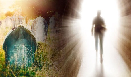 Đầu thai dưới góc nhìn khoa học