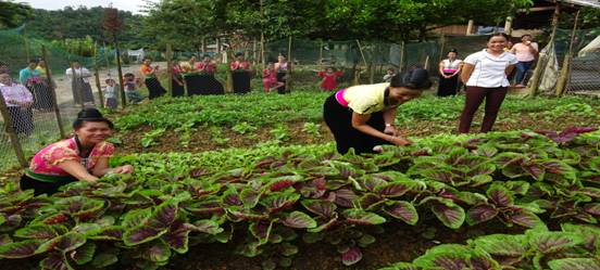 ĐẨY MẠNH ĐÀO TẠO NGHỀ CHO LAO ĐỘNG NÔNG THÔN TẠI TRUNG TÂM GDNN – GDTX HUYỆN TỦA CHÙA